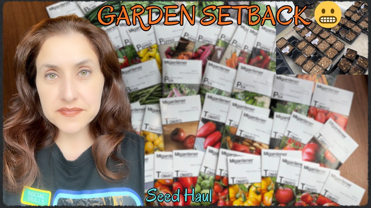 Seedling Update 🌱 (Learning As I Go) + Seed Haul