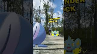 Pokémon Battle - Shinx and Poliwag #pokemon #videogames
