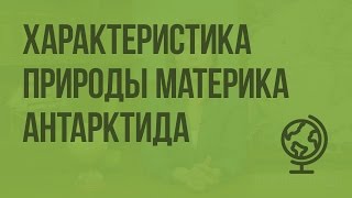 Характеристика природы материка Антарктида. Видеоурок по географии 7 класс