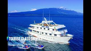 Tourist Class Cruises