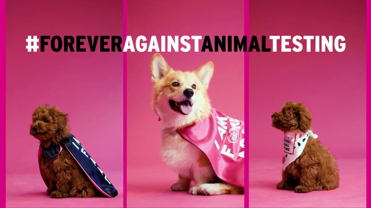 Forever Against Animal Testing: What’s Next? How To Have Animal Testing In Cosmetics Abolished
