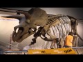 view Preview of &quot;The Last American Dinosaurs: Discovering a Lost World&quot; digital asset number 1