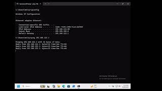 ARP Cache Demo