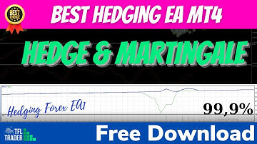 Hedging EA MT4 Free Download - Hedging Forex EA1