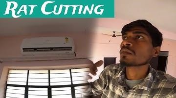 Rat Cutting AC in Mahila ITI Supaul - EHSAN