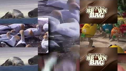 11 Shuric Scans with slides V4