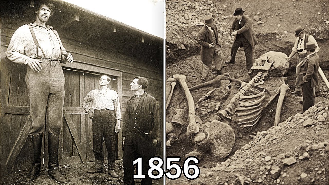 La Découverte Interdite D’un Géant Dans L’Iowa En 1856