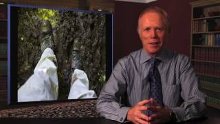 Persuasive Presentation How To Use Text Builds Effectively