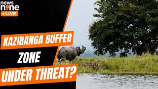 Assam Seeks To Shrink Kaziranga ESZ From 10 Km To 1–3 Km | News9