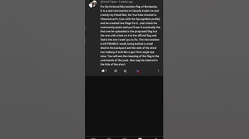 Fixing the flag of Benlandia #flag #flags #custom #canada  @HyperSonicBoi