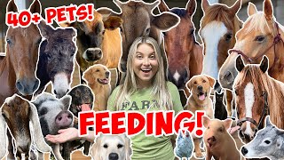 FEEDING ALL MY ANIMALS IN ONE VIDEO! | 40+ ANIMALS *NEW PETS ROUTINE!*