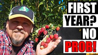 Unexpected Strawberries! - Garden Quickie Episode 294