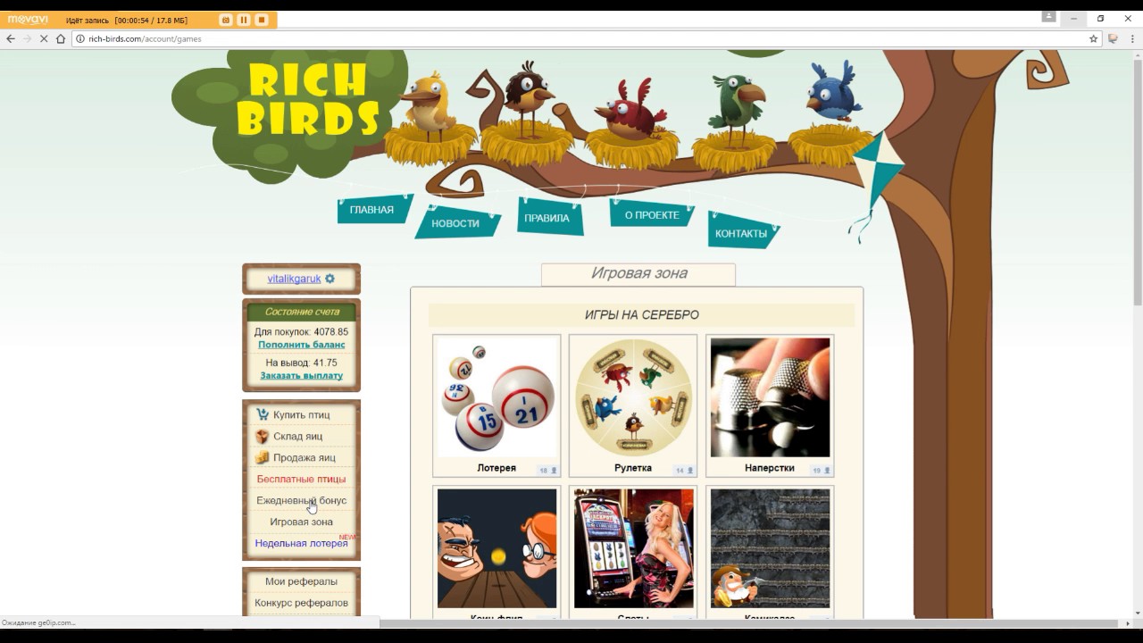 Birds org