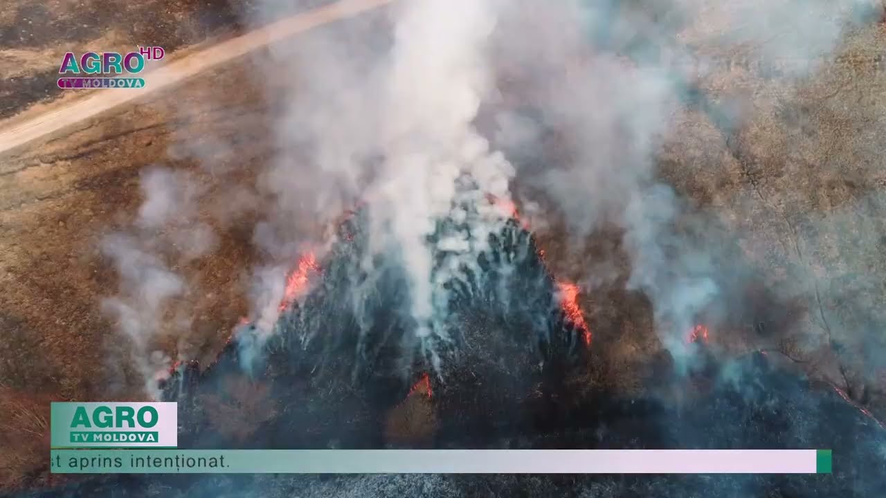 50 de mii de lei amendă pentru incendierea terenurilor – AGRO TV News