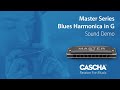 Губна гармошка Cascha Master Edition Blues Harmonica in G Diatonic HH 2232
