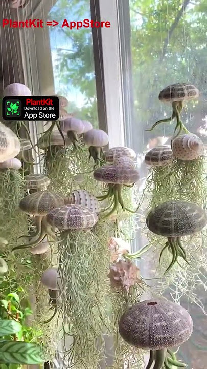 5🌿 PlantKit – Smart Plant Care with AI Taking care of your plants has never been this easy! With Pl