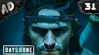 САМЫЙ БОЛЬШОЙ ЛАГЕРЬ? Прохождение Days Gone Жизнь После на Русском #31