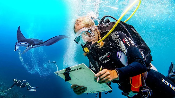 Marine Conservation Volunteer Projects | The Great Projects