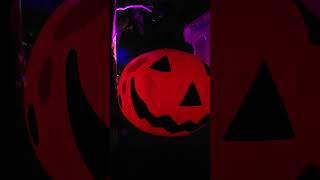 4K, Pumpkin Head, Happy Halloween 2025, Dreamworld, Gold Coast #shorts #halloween #dreamworldau