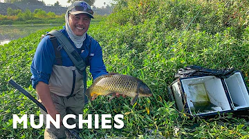 What fish are in the LA River?