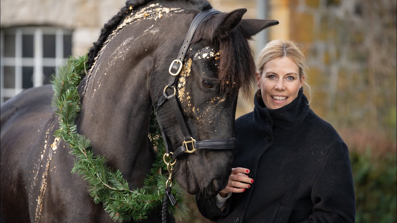 Ekor and friends Box - Ich teste für Euch Überraschungsboxen für Pferd und Reiter 