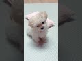 SOUNDS THAT TILT DOGS HEADS | SOUNDS DOGS LOVE MOST #shorts