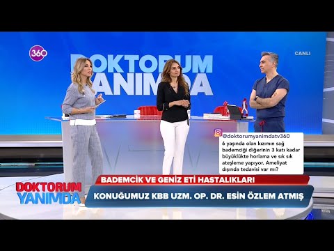 Video: Boğazın koydan farkı nedir? Davis Boğazı: konum, özellikler