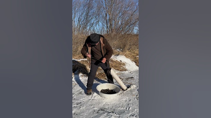 【搞笑漁民真實生活】日出日落，勤勤恳恳！#fishing  #shorts