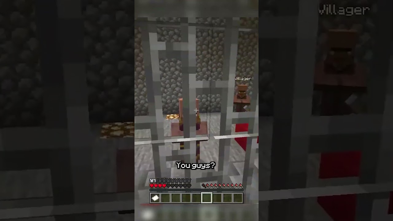 This village is DEFINITELY NOT normal.. #minecraftmemes
