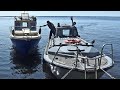 Поход острова Финского залива , катер Бычок , Campaign of the island of the Gulf of Finland, boat