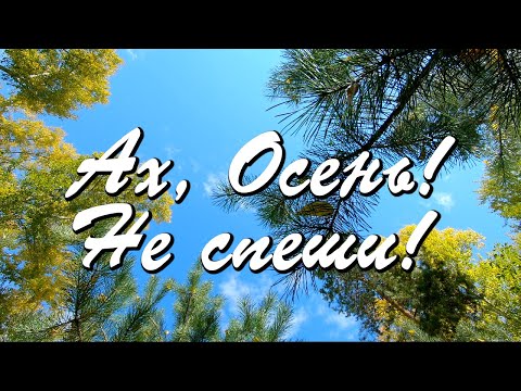Доброе утро! Прогноз на Октябрь: просто Жить и Осенью дышать...