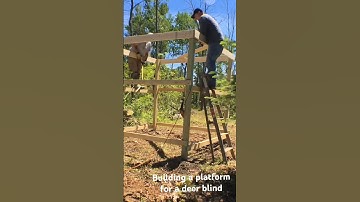 Raising the Bar: Crafting the Perfect Perch for Your Deer Blind! 🦌🔨 #DeerBlindBuild #DIY