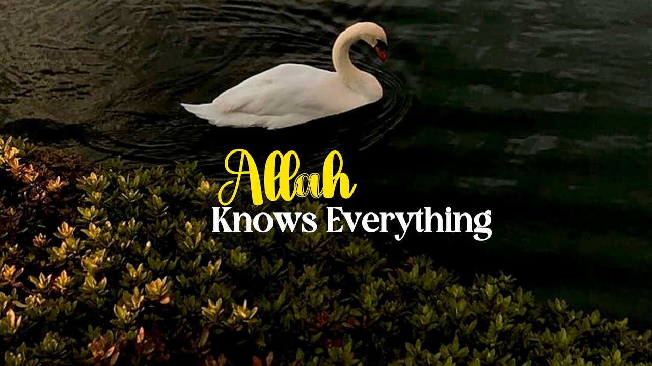 Allah Knows Everything!!