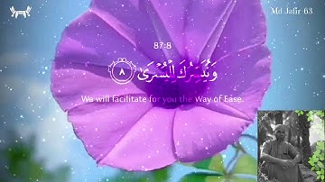 #Al Ala |سورة الأعلى #|Sheikh #MohamedKoleib #|English #Translation| الشيخ محمد كليب