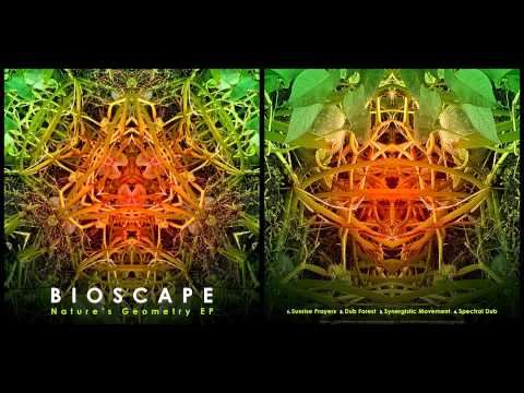 Bioscape — Bioscape - Synergistic Movement