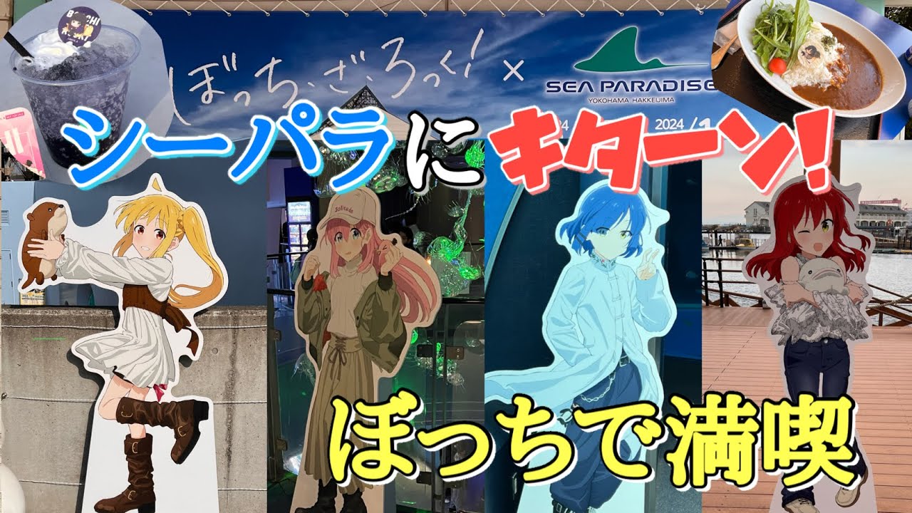 ぼざろ 八景島シーパラダイス ぼっち・ざ・ろっく！缶バッジ ぼっち・ざ・ろっく！』×シーパラダイスとコラボイベント3月実施