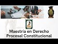 4. Maestría en Derecho Procesal Constitucional- Restricción Constitucional en Materia de D.H