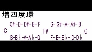 不定調性論全編解説12〜完全結合領域と十二音連関表