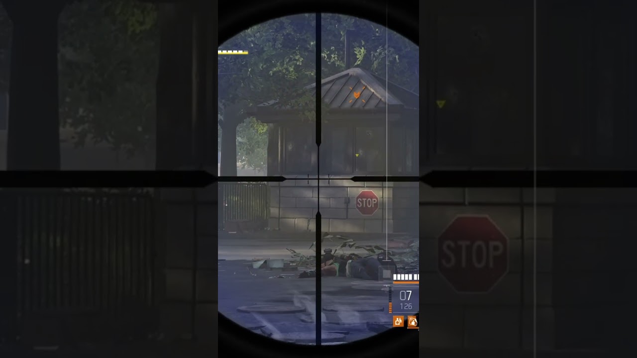 Division 2 Reanimated damage is insane.