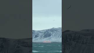 Holiday stories | Ben and Eydís