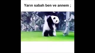 İnstagram,Da En Çok Izlenen Video,Lar