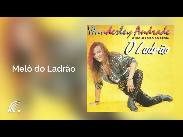 Wanderley Andrade - Melo do Ladrao