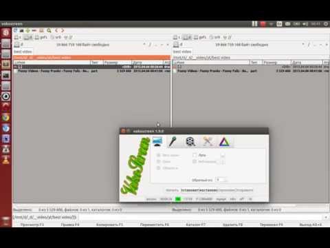 Programming.  Ruby.  Youtube.  File download.  Many at once.  By search request.