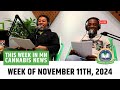This Week in MN Cannabis News - Minnesota News (November 11th, 2024) | Northern Lights Pod