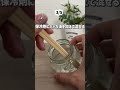 【保存版】ハッカ油でできる虫対策5選🌿 #diy#プレスンシール推し #PR #スクイーズ #プレスンシール #アイデア
