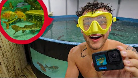 SWIMMING with ALL My FISH in *NEW* 5,500G POND!! (underwater footage)