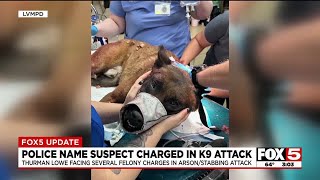 Suspect who stabbed LVMPD K9 in downtown barricade facing 5 felony charges