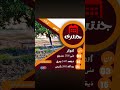 Islamic Date Today | Hijri Date | Aaj Chand Ki Kya Tarikh Hai | 04 May 2026 Chand Ki Tarikh.