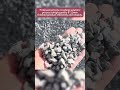 Pro Cone Crushing Solution | Get Perfect 8-12mm Output Every Time ✅