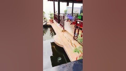 Mẫu hồ cá koi thư giãn quán Cafe The Queen